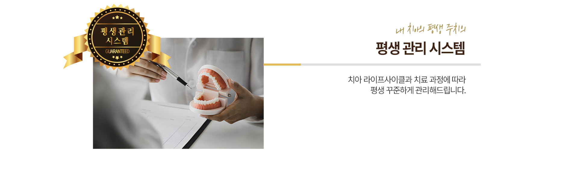 평생 관리 시스템