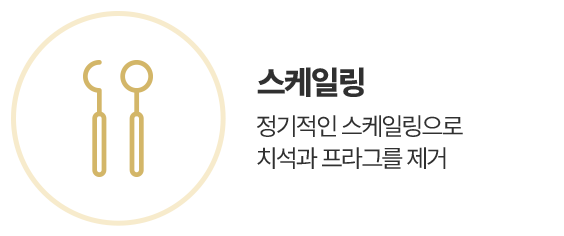 스케일링