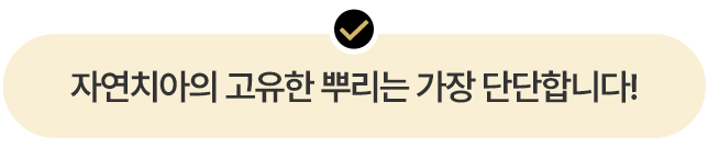 자연치아의 고유한 뿌리는 가장 단단합니다!