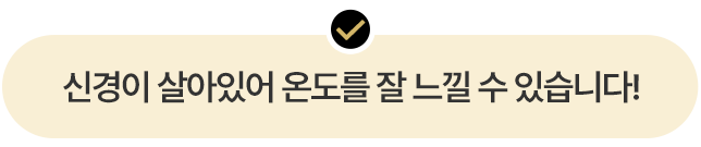 신경이 살아있어 온도를 잘 느낄 수 있습니다!