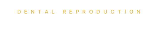 치아재식술