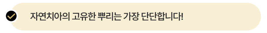 자연치아의 고유한 뿌리는 가장 단단합니다!