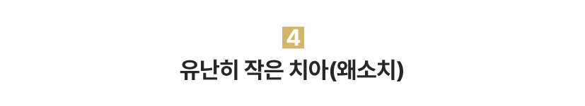 4.유난히 작은 치아(왜소치)