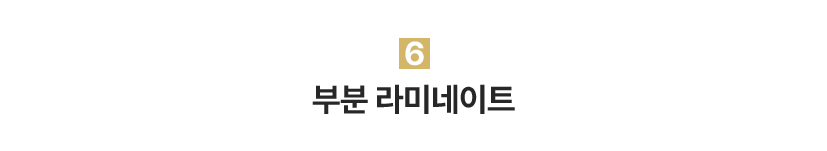 6.부분 라미네이트