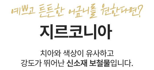 지르코니아