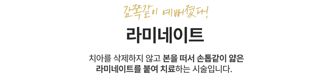 라미네이트