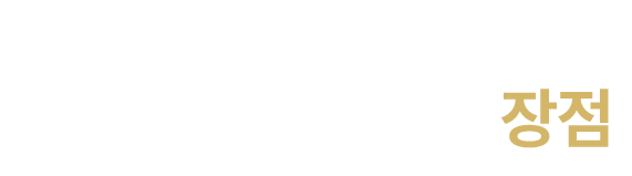 지르코니아 장점