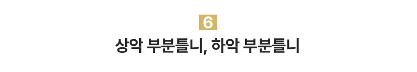 상악 부분틀니, 하악 부분틀니