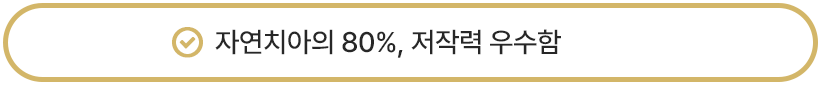 자연치아의 80%, 저작력 우수함