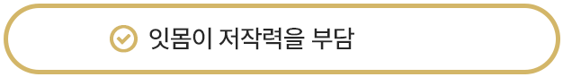 잇몸이 저작력을 부담