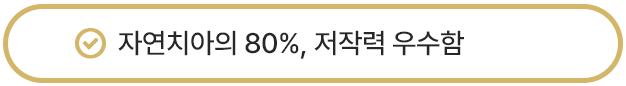 자연치아의 80%, 저작력 우수함