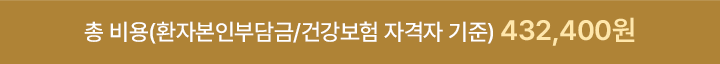 총 비용(환자본인부담금/건강보험 자격자 기준) 432,400원