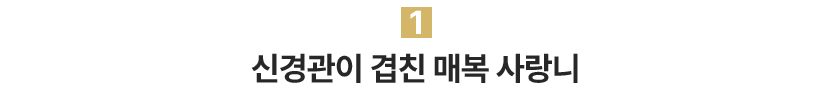 1.신경관이 겹친 매복 사랑니
