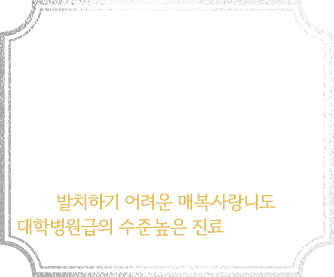구강외과 전문의