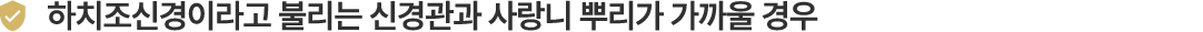 하치조신경이라고 불리는 신경관과 사라인 뿌리가 가까울 경우