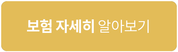 보험 자세히 알아보기