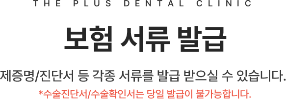 보험 서류 발급