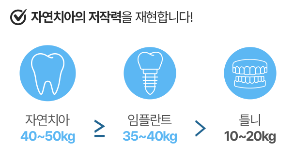 자연치아의 저작력을 재현합니다