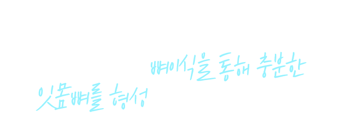 뼈이식을 통해 충분한 잇몸뼈를 형성