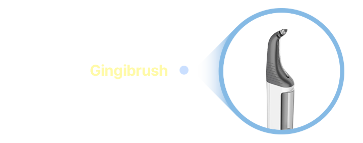 Gingibrush