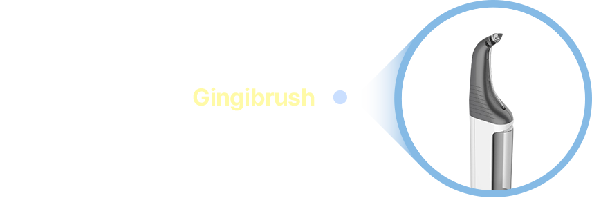 Gingibrush